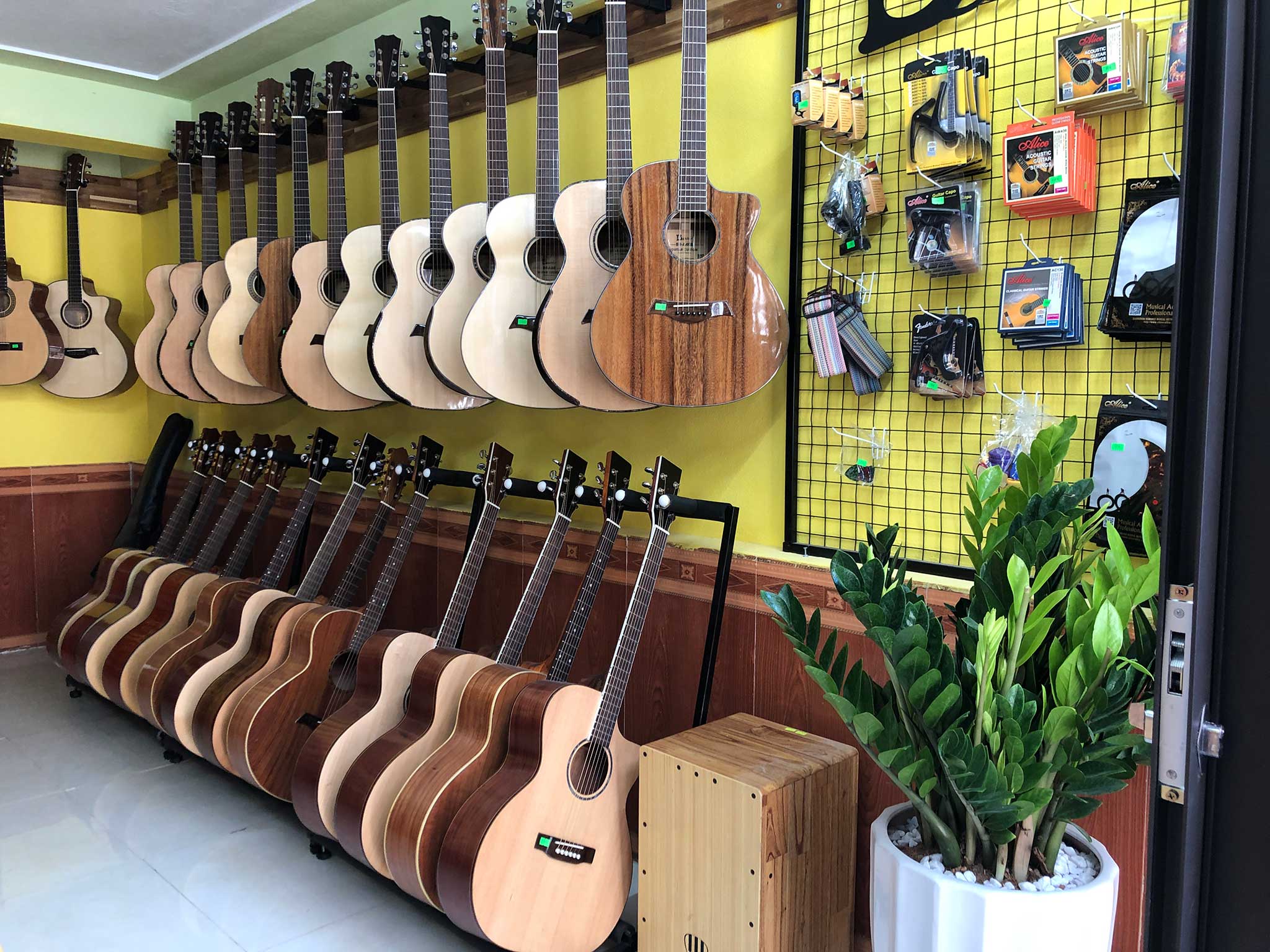 Địa chỉ mua đàn guitar giá rẻ cho học sinh, sinh viên, người mới học ở Quảng Ninh